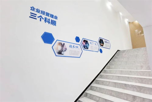 美好升級(jí)，煥新品牌 以技術(shù)服務(wù)驅(qū)動(dòng)企業(yè)轉(zhuǎn)型