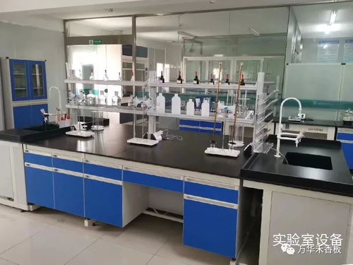 學(xué)習(xí)專業(yè)技能，提升服務(wù)水平，助力客戶2020再創(chuàng)新高