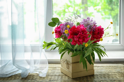 窗簾框里的自然畫(huà)卷 動(dòng)物與植物元素如何點(diǎn)亮家居美學(xué)